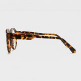 Iris in Brown Tortoise