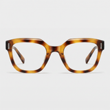 Phoebe in Brown Tortoise