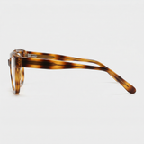 Phoebe in Brown Tortoise