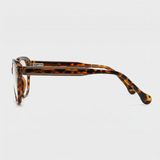 June in Brown Tortoise